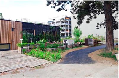 The importance of urban green spaces in the development of smart cities